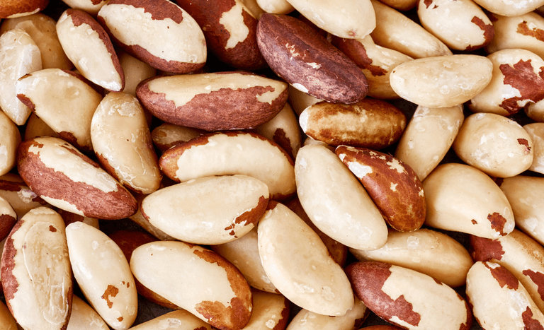 CAPA SITE - 2026-02-03T114700.544.png