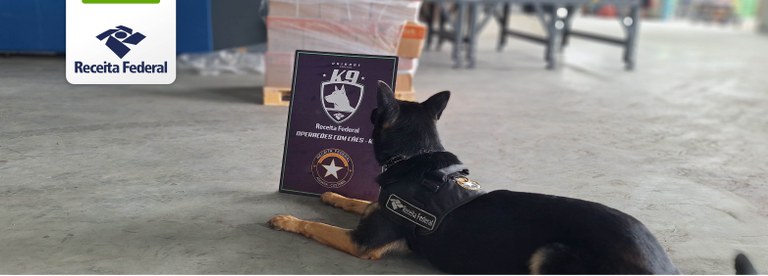 Apreensão Porto de Santos