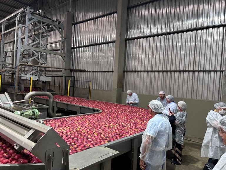 WhatsApp Image 2026-04-16 at 07.41.37 (1).jpeg