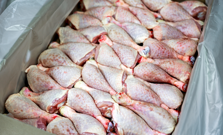 CAPA (1150 x 700 px).png