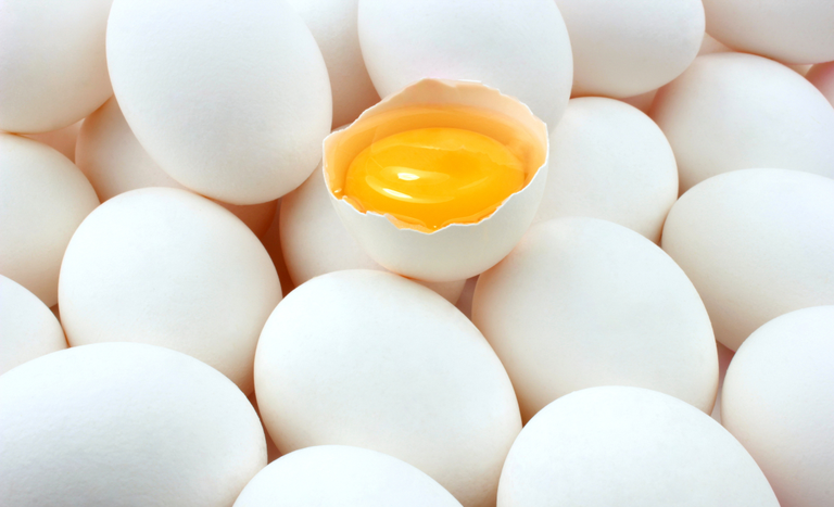 CAPA SITE 1150 X 700 (1).png