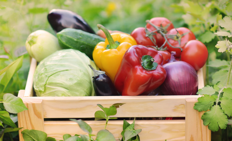 CAPA SITE 1150 X 700 (1).png
