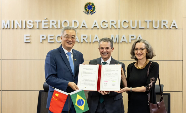 Brasil e China assinam protocolo para exportação de miúdos suínos — Ministério da Agricultura e Pecuária