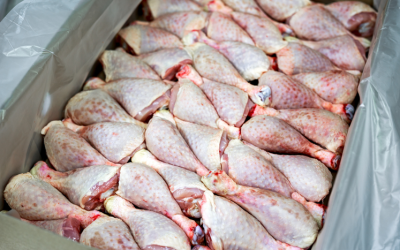 CAPA (1150 x 700 px).png